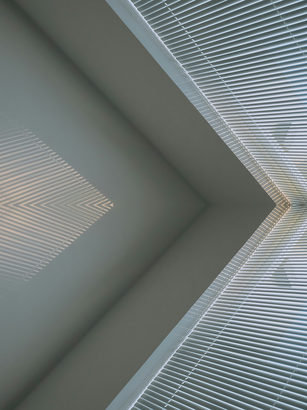 OCIO Growth is Shifting Toward Family Offices: Key Governance Considerations